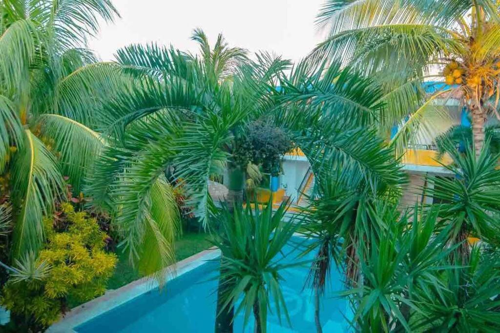 Apartamento Departamento Dos En *