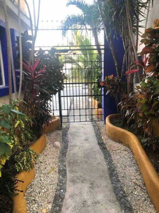 Departamento Dos En Apartment Cozumel